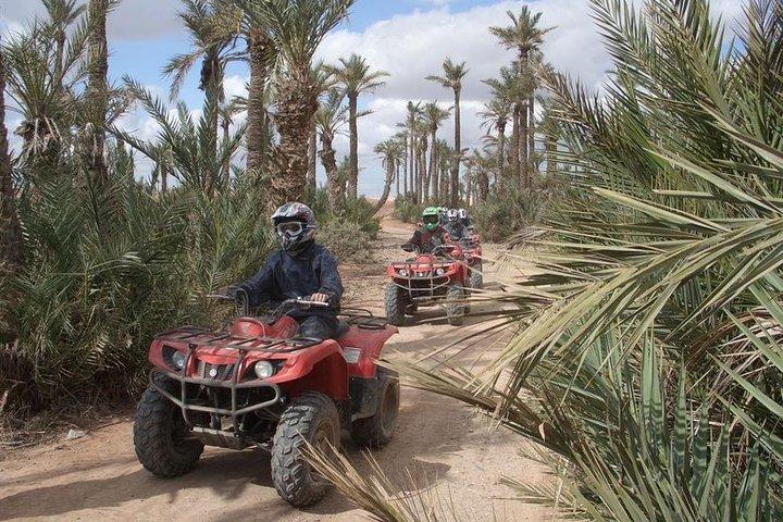 Quad, Kamelritt, Mittagessen und Hammam-Tour