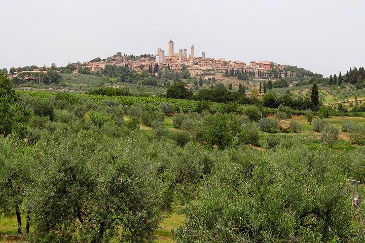 Privétour naar Siena en San Gimignano met wijnproeverij en lunch