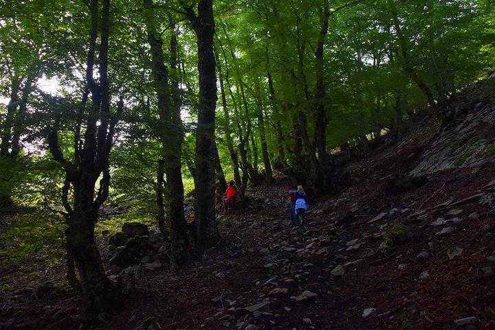 Summit Albania Hiking, Holy Mount of Tomorr, Off Road Albania, Berat (ARG)