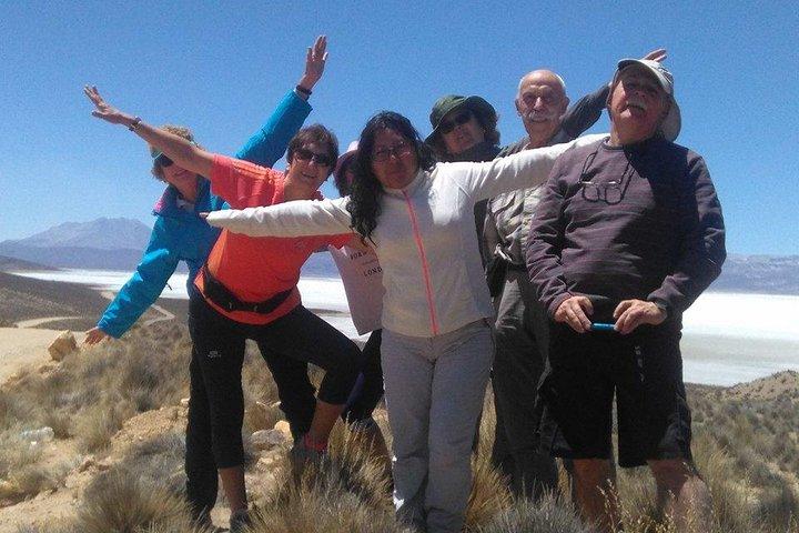 Salinas Salt Lagoon Private tour - Day Trip from Arequipa