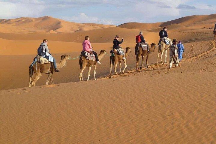 Private Desert Tour From Marrakech To Fes Via Desert Sahara