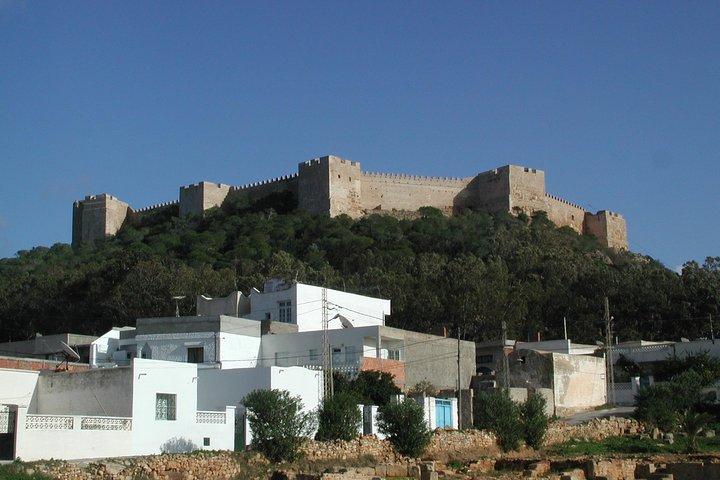 Cap Bon Guided Day Tour vanuit Tunis