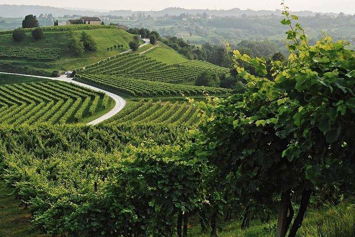 Tour e degustazione di Prosecco da Venezia
