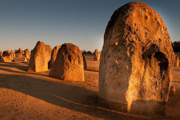 Tour panoramique aérien et terrestre de Pinnacles & Rottnest Island