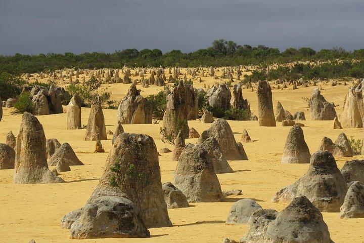 Vol panoramique du Pinnacles et visite au sol