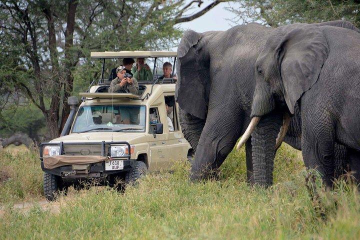 4日間のマサイマラロッジサファリ、4x4ランドクルーザージープ
