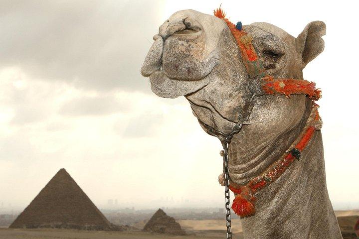 Alexandria to Pyramids and GEM Shared Day Trip with Egyptologist