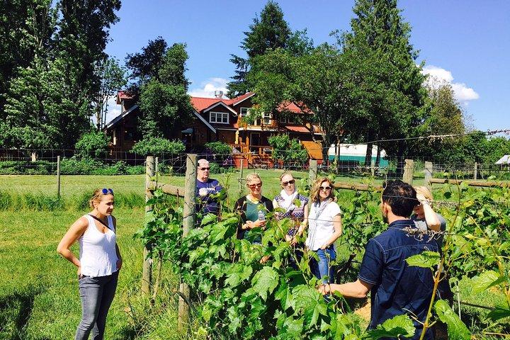 Victoria Wine Tour mit Weinproben und Wurstwaren
