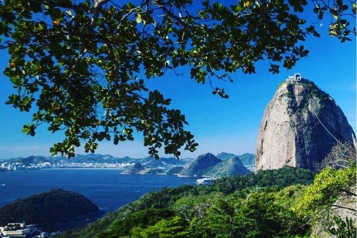 Skip-the-Line: Sugarloaf Mountain Cable Car Ticket