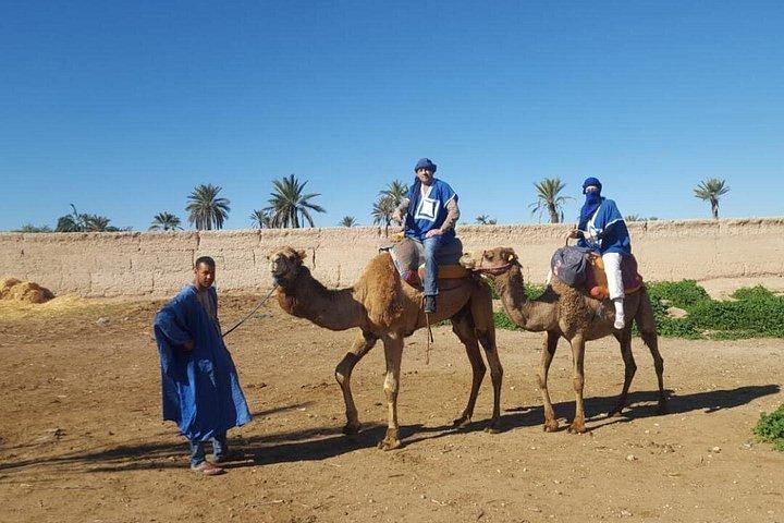 Marrakech Camel Ride at the Palm Groves