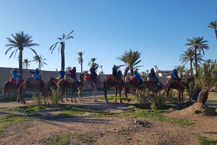 Marrakech Camel Ride at the Palm Groves