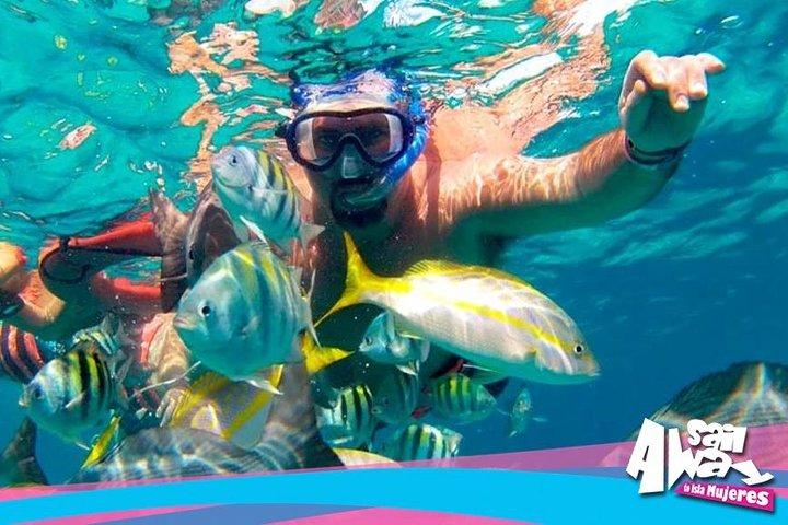イスラ・ムヘレス島への大人専用パーティークルーズ片道無料送迎
