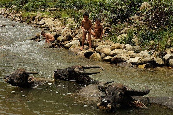 Sapa 2 dage 1 nat Trekking Adventure Tour fra Hanoi (overnatning i bungalow)