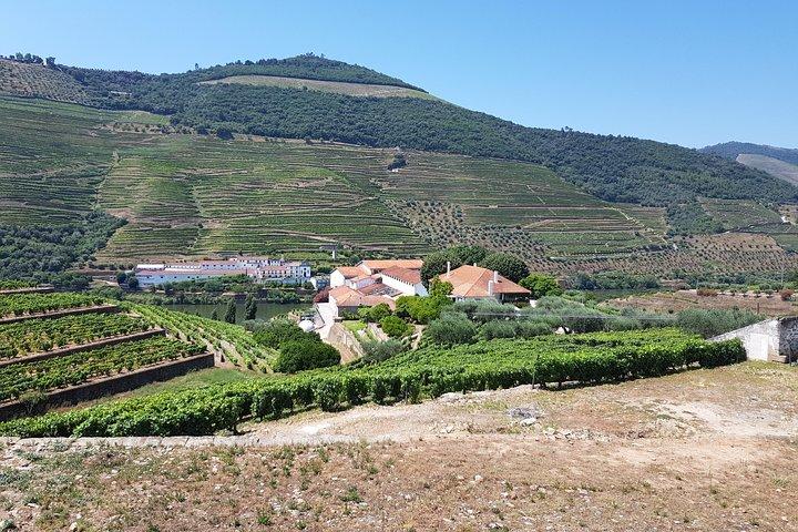 Privétour door de Dourovallei vanuit Porto: 3 wijnhuizen en lunch