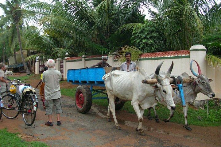 Excursion d'une journée à vélo à Mahabalipuram