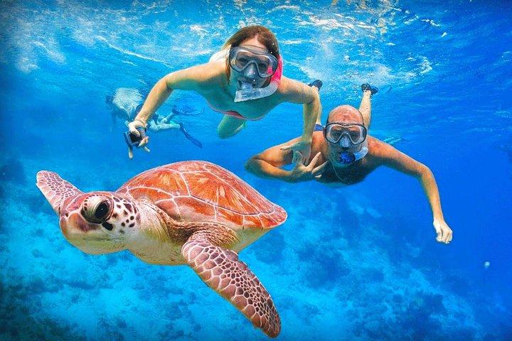 Snorkelen bij Hikkaduwa