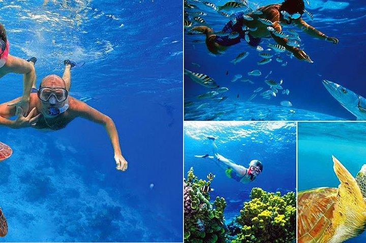 Snorkelen bij Hikkaduwa