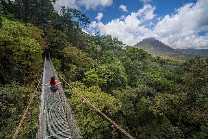 ラ・フォルトゥナ4-イン-1ツアー：橋、火山、滝