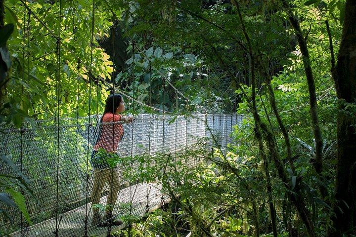 ラ・フォルトゥナ4-イン-1ツアー：橋、火山、滝