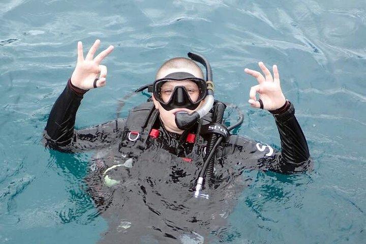 PADI Discover Scuba Diving a Koh Tao - mezza giornata e due immersioni