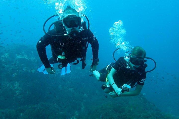 PADI Discover Scuba Diving a Koh Tao - mezza giornata e due immersioni