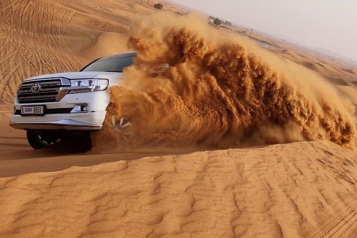 Dubai Morning Red Dunes Desert Safari, Camel Ride & Falcon Photo