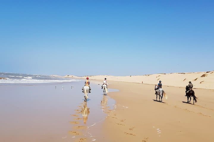 Horse Ride on the Beach in Essaouira