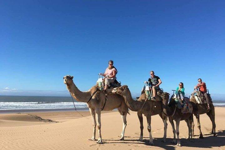 Kameelrit op het strand van Essaouria