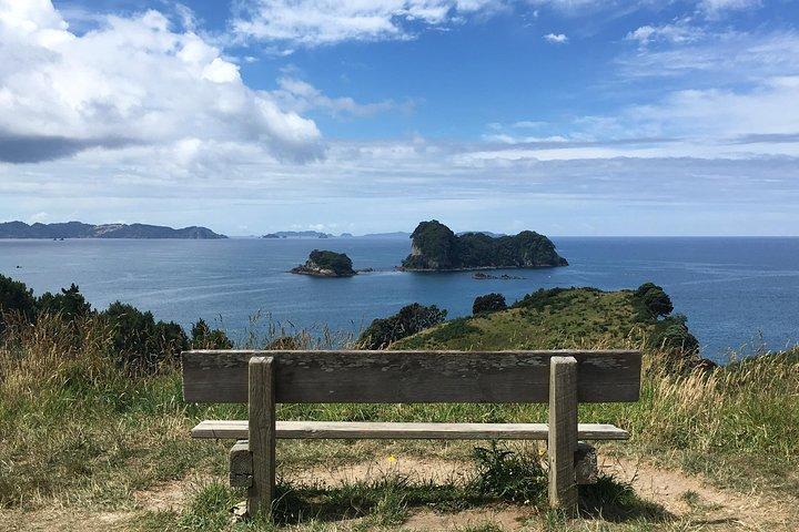 Excursion d'une journée à Cathedral Cove au départ d'Auckland