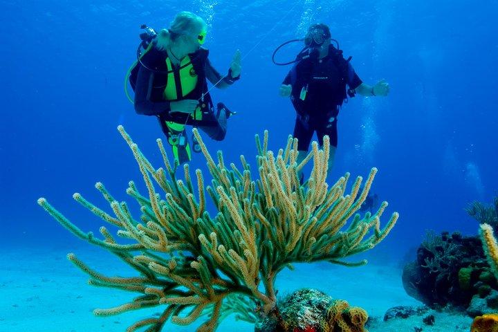 Erstes Taucherlebnis in Punta Cana