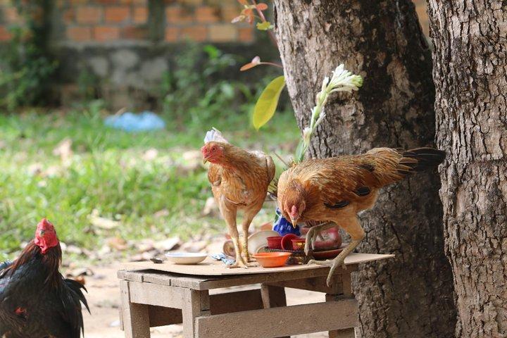 Siem Reap local village walking tour