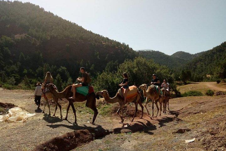 Excursão de dia inteiro a 3 vales de Marrakech Marrakech