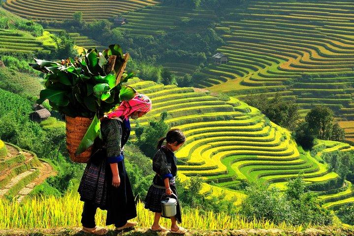 4 dias Explore a Cidade de Hanói, a Baía de Ha Long e os Destaques da Sapa