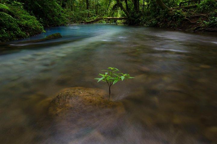 Rio Celeste and Tenorio Volcano Hike with Lunch