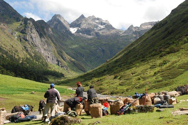 11 dages Bhutan Majestic Jomolhari Loop Trek