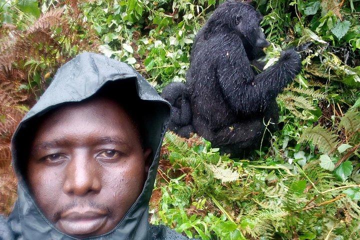 Gorilla Tracking und Maasai Mara Safaris