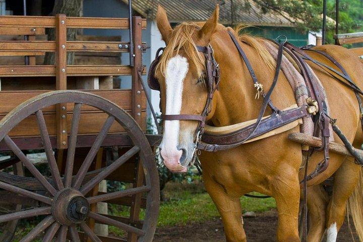 Fiesta Gaucha og Day Ranch i Santa Susana Ranch