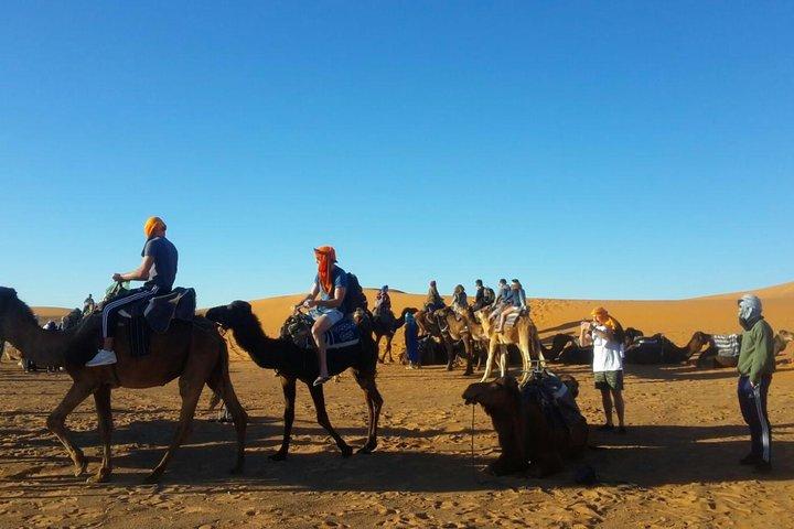 Privat 2-dages tur til Zagora-ørkenen, kamelvandringer i Tinfou-klitter fra Marrakech