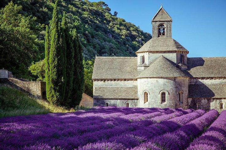 Tour de medio día en grupo pequeño Lavender Beauty desde Aviñón