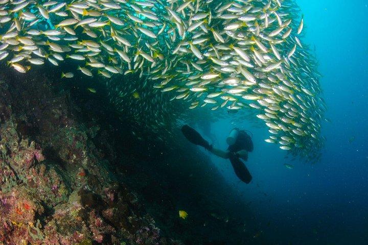 Viaje de buceo a Phi Phi desde Phuket para buceadores certificados