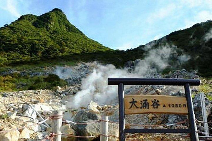NEW東京：富士山＆箱根6スポットツアー（新幹線往復）