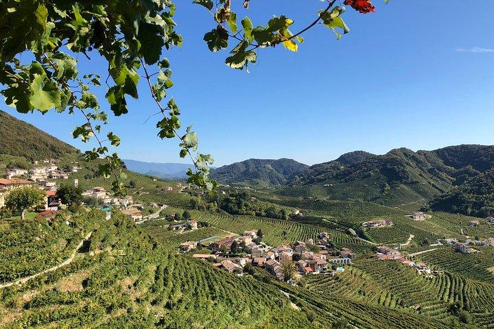 Ein funkelnder Tag in den Prosecco Hills von Venedig