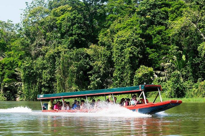 2 Tage Tortuguero Nationalpark Eco Adventure Tour