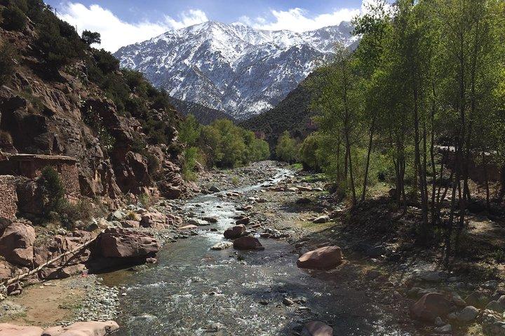 Gita di un giorno alle montagne dell'Atlante e alle 5 valli da Marrakech con pranzo berbero