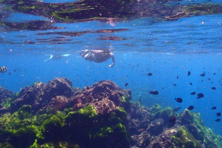 Explore Surin Islands: Ultimate Snorkeling Day Trip from Phuket