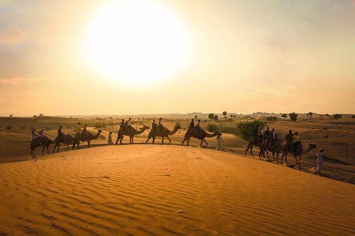 Dubai Sunset Camel Ride & BBQ Middag på Al Khayma Camp