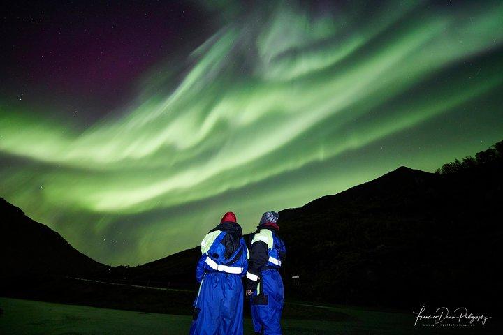 Minivan Northern Lights-udflugt (8 gæster pr. minivan)