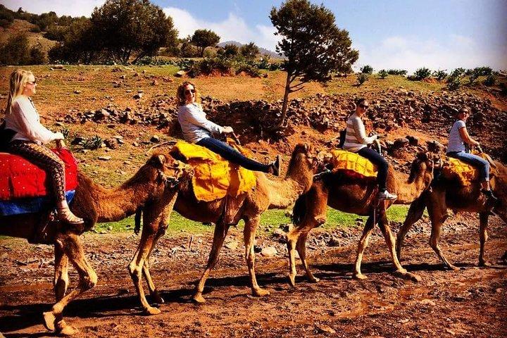 Escape to the Agafay Desert on a day trip from Marrakesh to Atlas