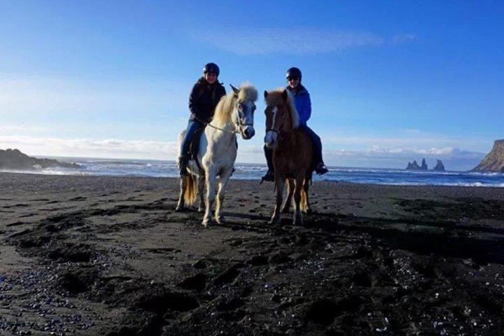 Horse Riding on the Black Sand Beach and Free Hotel Transfers