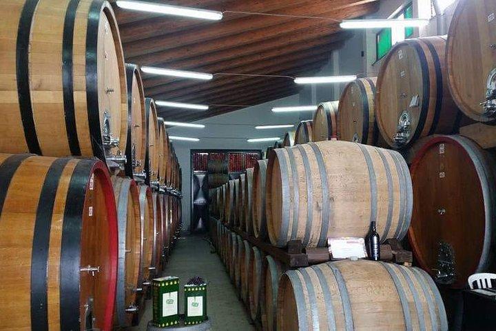 Etna vinsmagning og siciliansk frokost – lille gruppe tur fra Catania